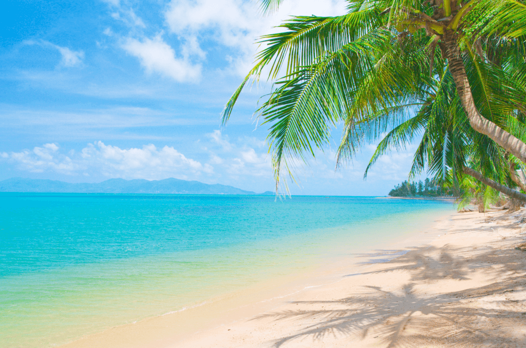 旅行・おでかけ